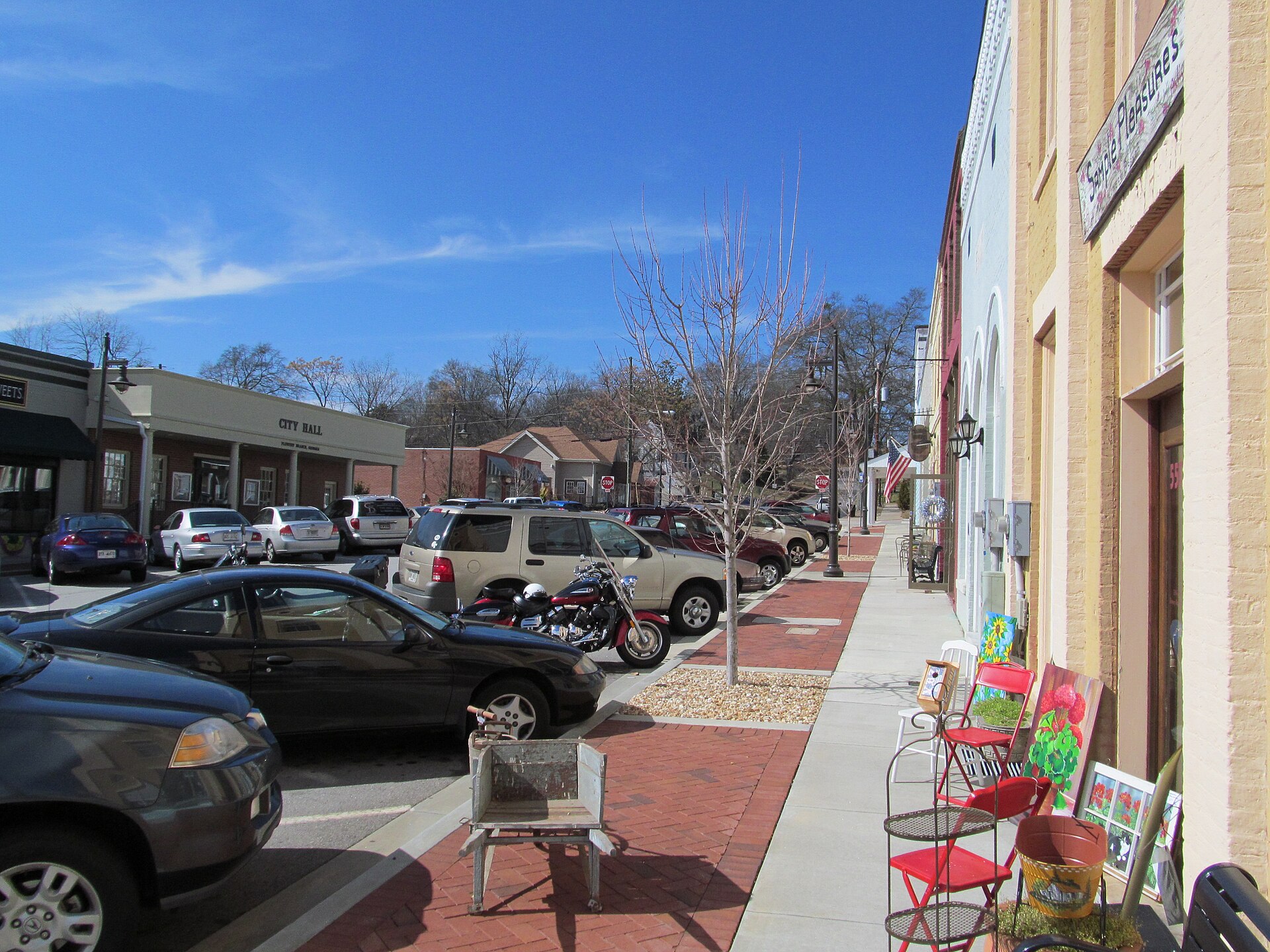 A real view of Flowery Branch, Georgia